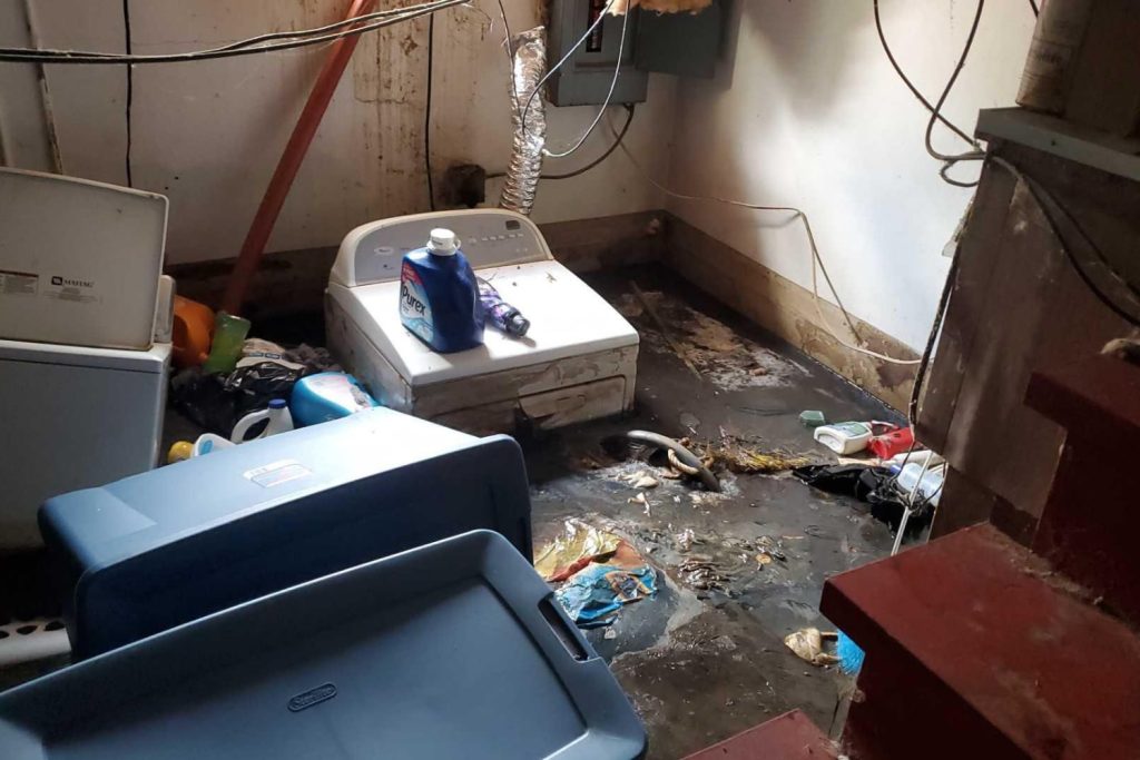 sewage cleanup