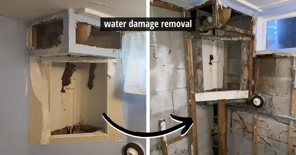 water damage removal millstadt il